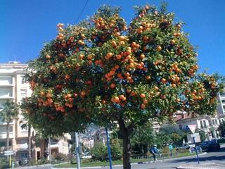 Hotel Le Grand Cap Roquebrune-Cap-Martin